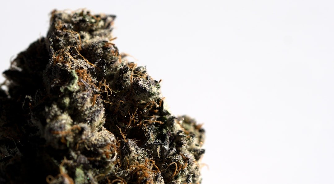 Premium Cannabis