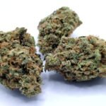 Amsterdam Super Silver Haze