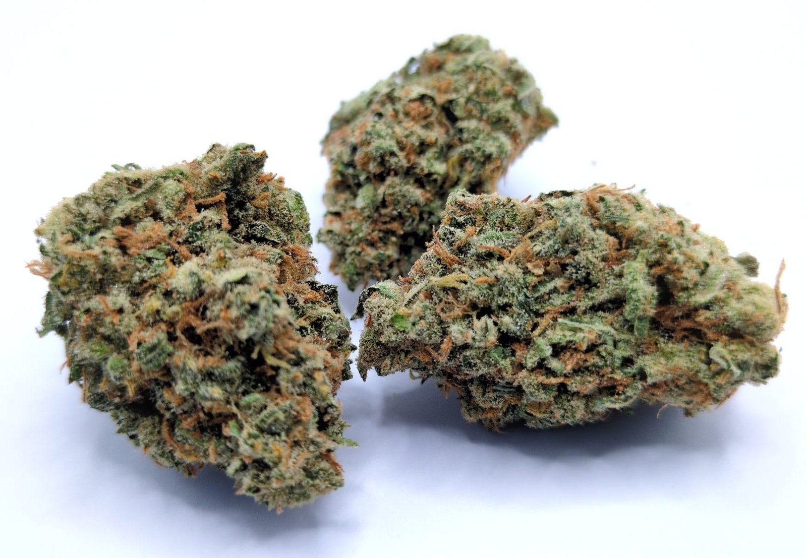 Amsterdam Super Silver Haze Amsterdam Super Silver Haze