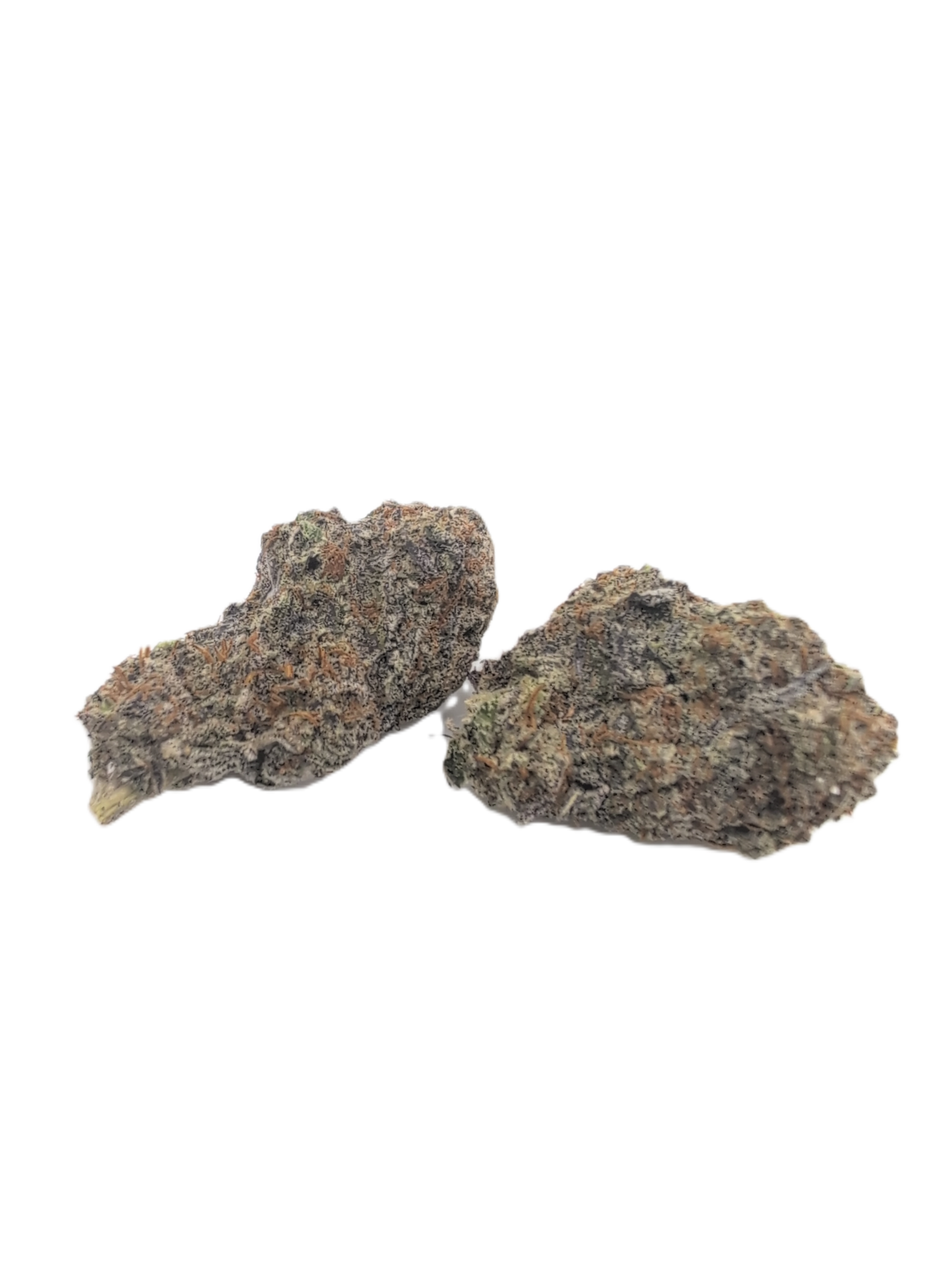 Buy Slurriking Cannabis Strain Buy Slurriking Cannabis Strain