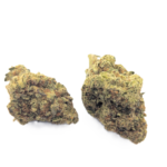 Frosted Vanilla Mints strain