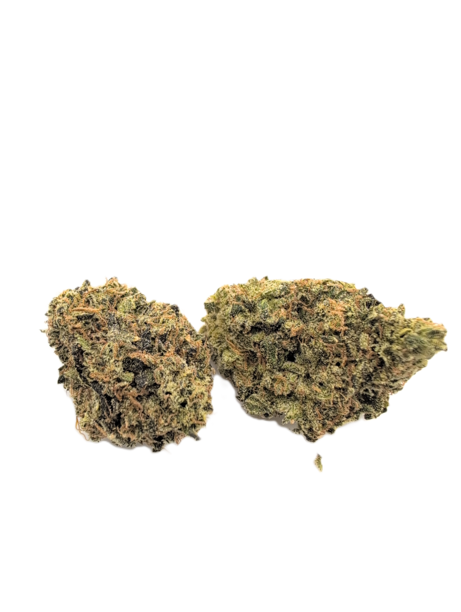 Permanent Shade Cannabis Strain Permanent Shade Cannabis Strain