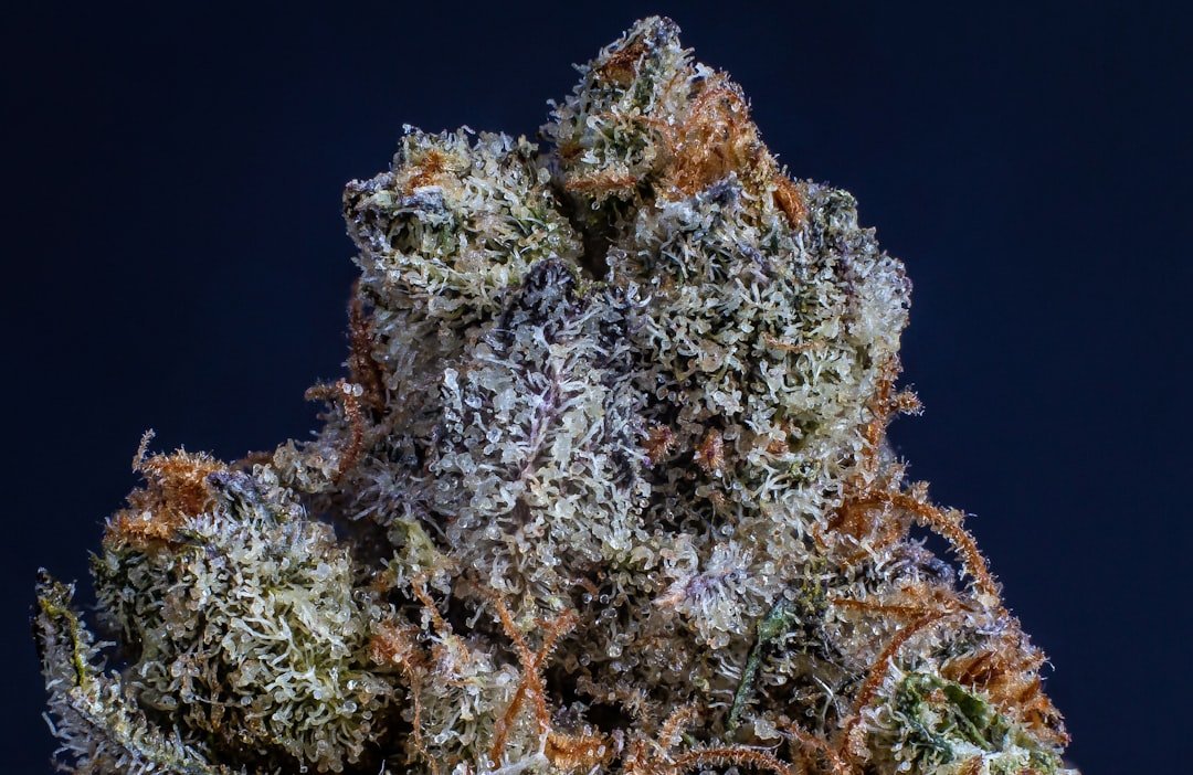 thc flowers