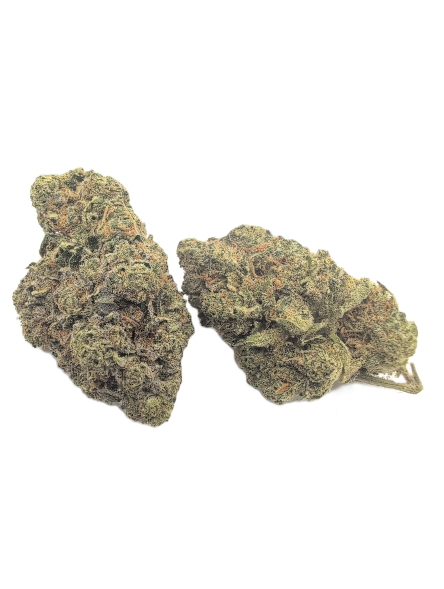 White Tea Biscuits Cannabis Strain White Tea Biscuits Cannabis Strain